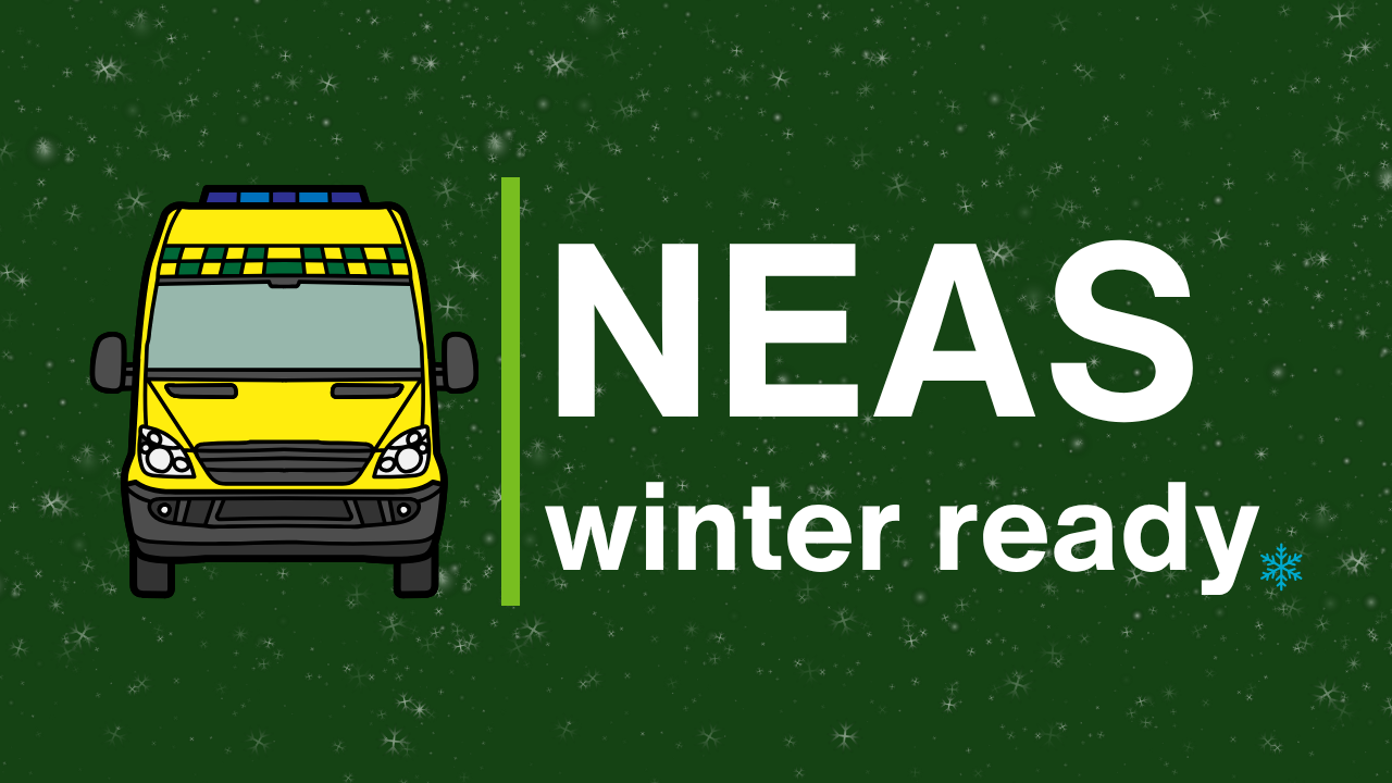 Winter ready with snow.png