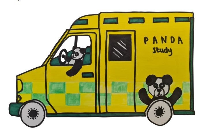 PANDA study drawing.jpg