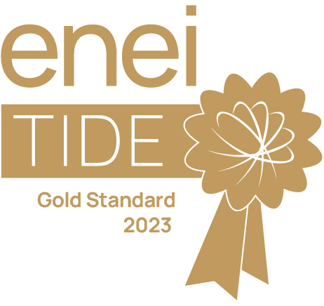 enei-TIDE-Gold-Standard-2023 (2).png