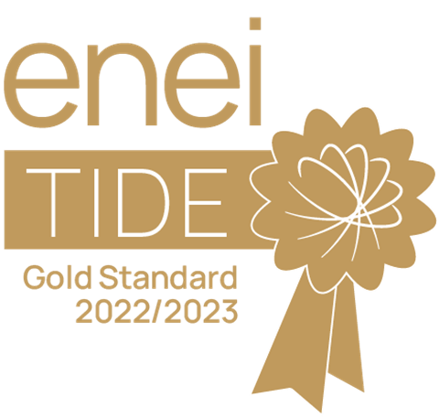 Gold standard on equality.png