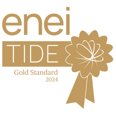 2024 ENEI_gold-logo.png