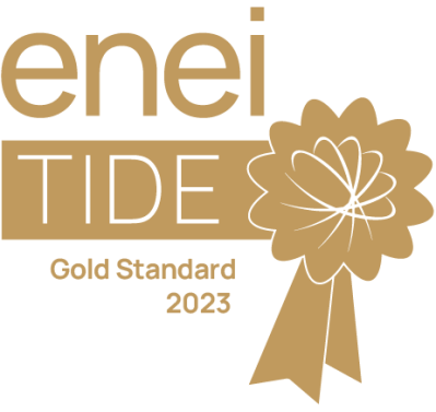 enei-TIDE-Gold-Standard-2023 (2).png