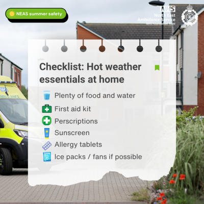 Checklist - summer essentials at home.png