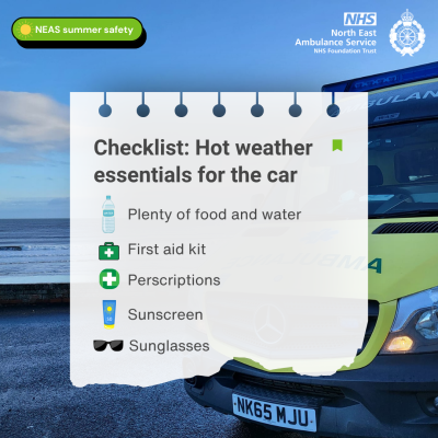 Checklist - summer essentials in the car.png